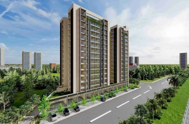 Saadhya 81 Banner Image